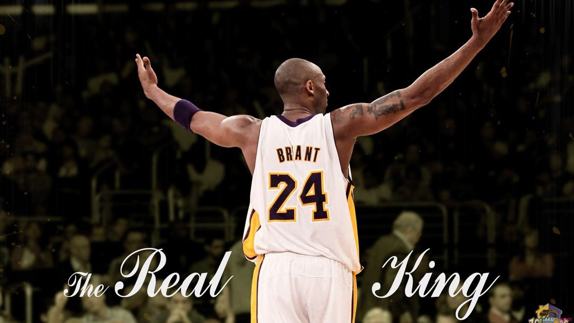 黄蜂绝杀魔术，锡安·威廉姆森的冠军级表演